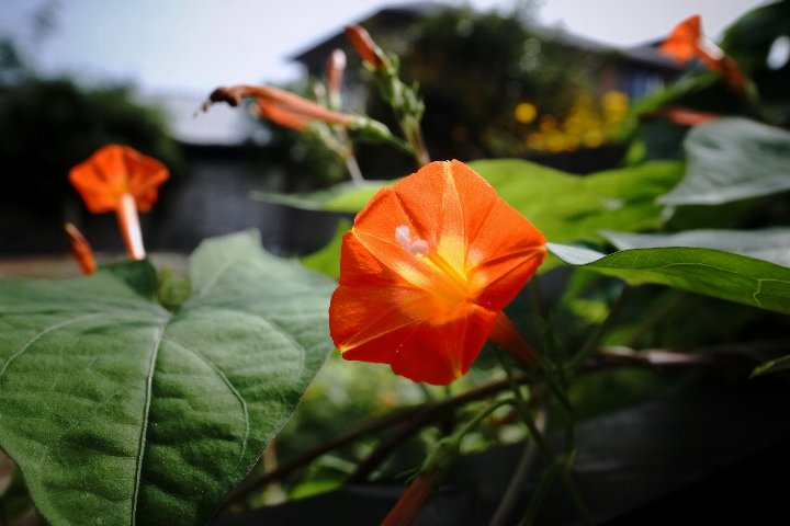 a0268412_22105440.jpg