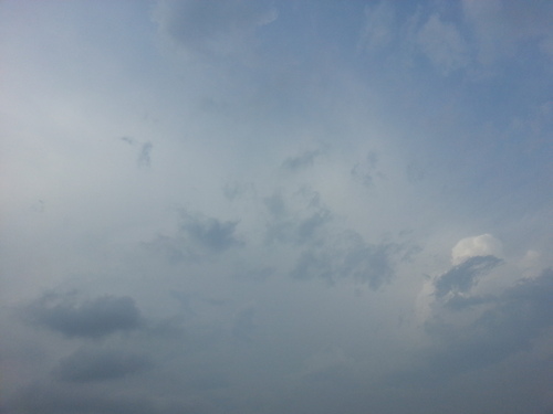 d0094512_17463328.jpg