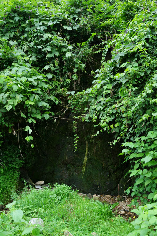 a0278914_16352899.jpg