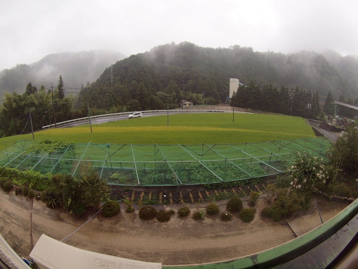 一日中雨_c0116915_22461011.jpg