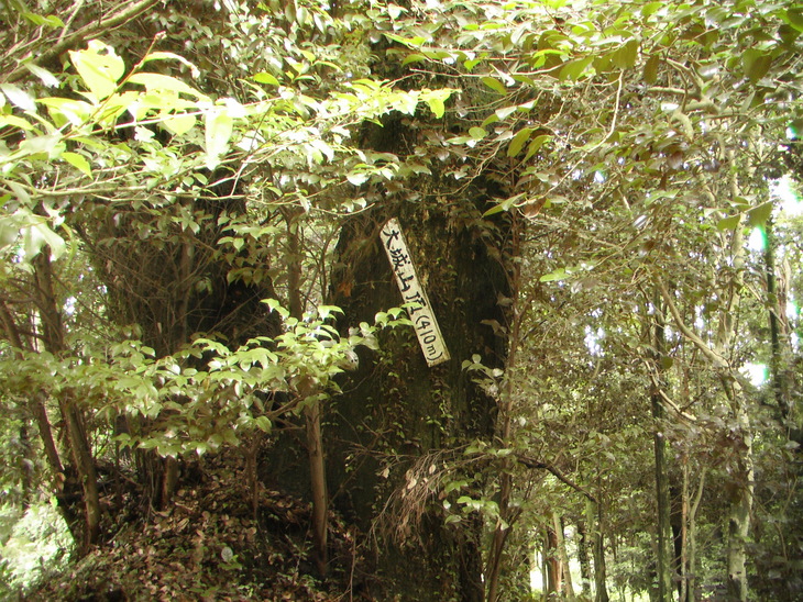 b0291016_17395278.jpg
