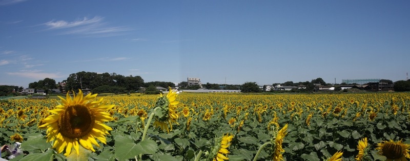 e0117318_14532390.jpg