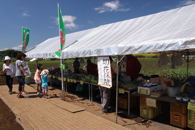 e0117318_14594364.jpg