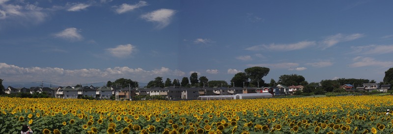 e0117318_1681696.jpg