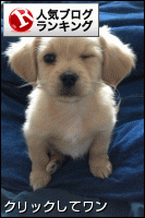 b0074921_0544423.gif