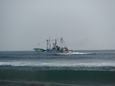 8月30日（金）鹿島灘_a0284729_14205531.jpg