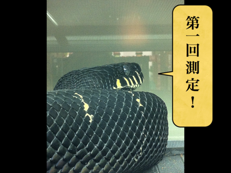 f0266029_8541197.png