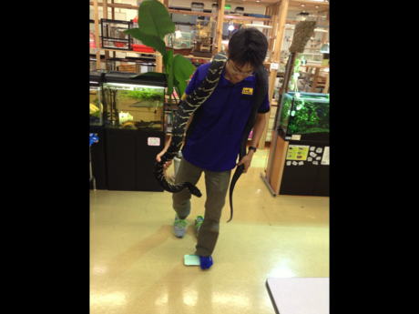 f0266029_902866.png