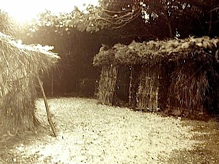 ミントンの娘とイザイホー〈５〉_a0300530_1684633.jpg