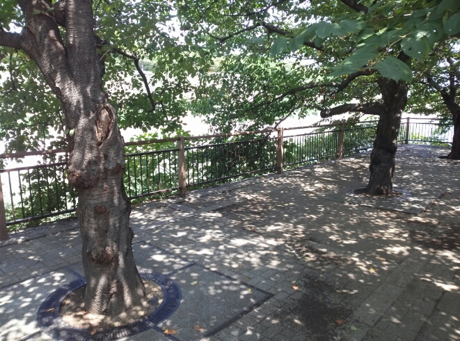 コモレビ_c0113733_011898.jpg