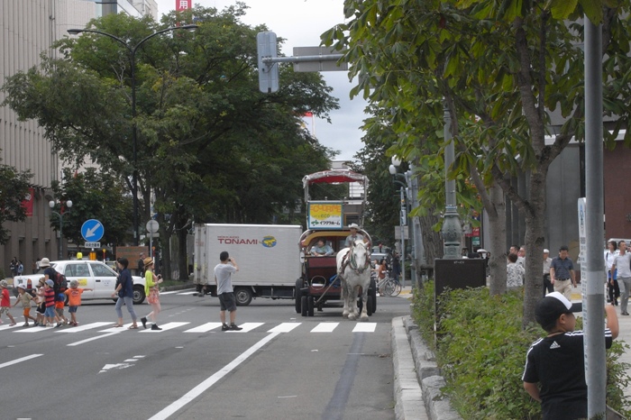 足をひきづってるランナー体型の人をいろんなとこで見かける道マラ翌日の札幌。_c0022340_20473866.jpg