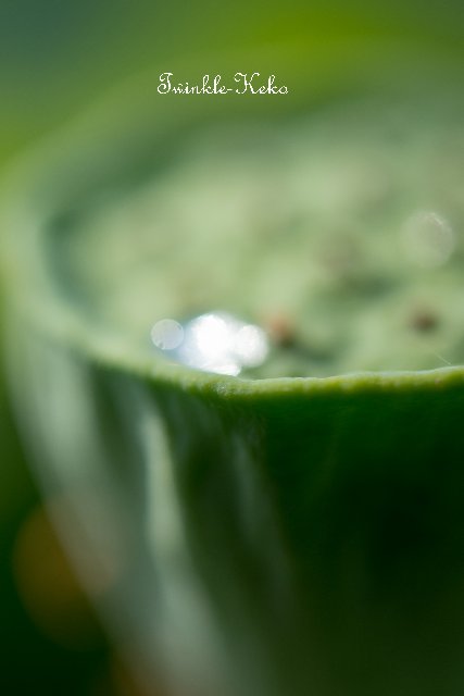 f0158043_2383223.jpg