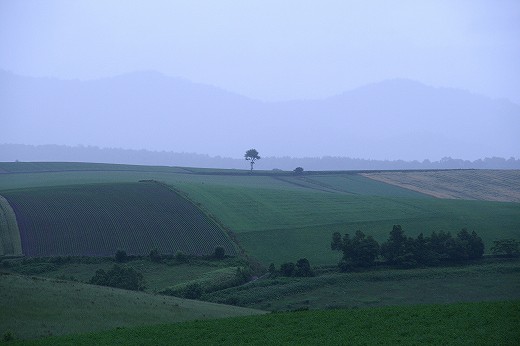 c0261447_23525871.jpg