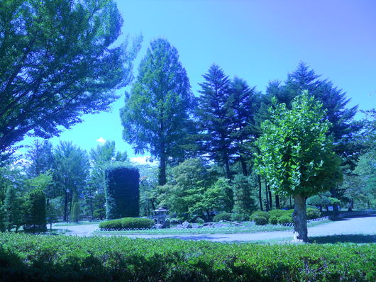 f0192155_06359.jpg