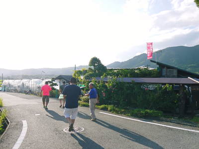 熊本ぶどう 社方園 8/29テレビタミン出演のメイキング裏話!!_a0254656_18393396.jpg