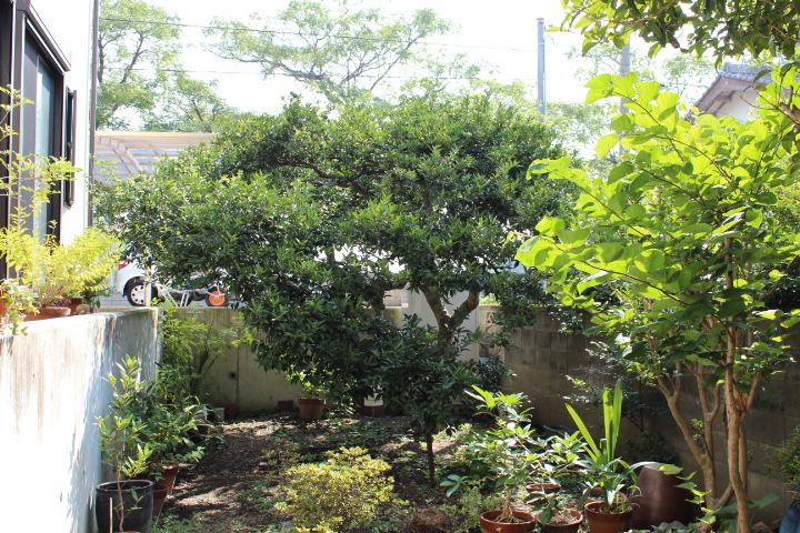 b0228959_1758540.jpg