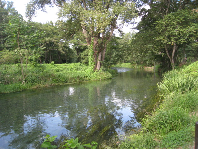 d0168669_0314565.jpg