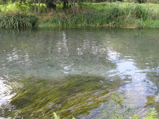 d0168669_0364123.jpg
