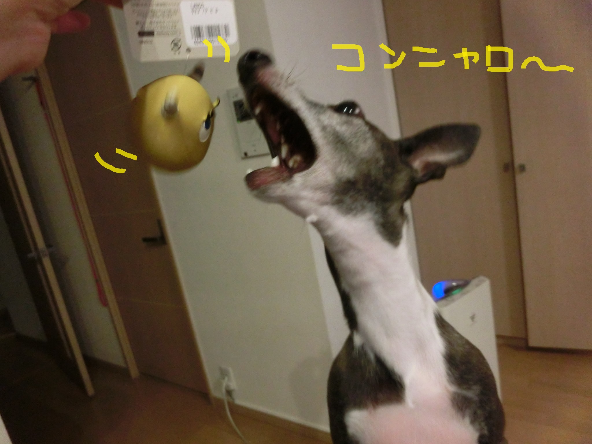f0223972_10471330.jpg