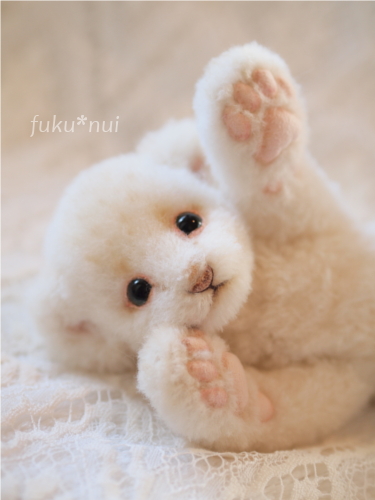 ホワイトライオンの赤ちゃん Fuku Nui ホワイトライオンの赤ちゃん Fuku Nui