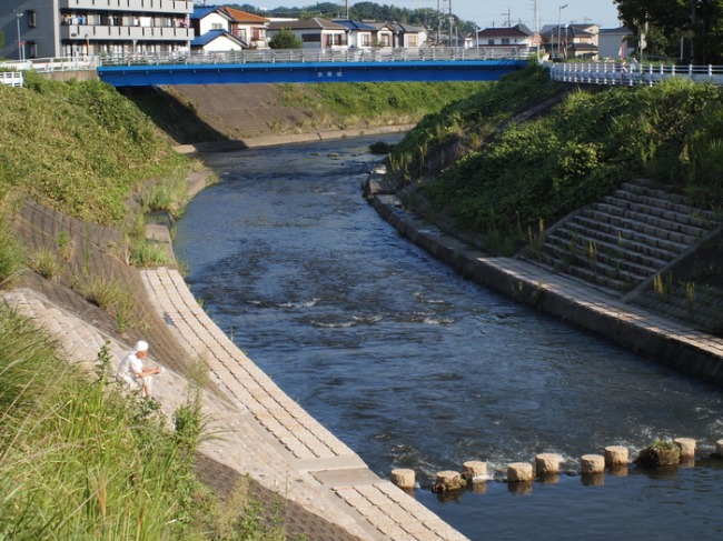 鶴見川　　　　　zeiss.flektogon_a0085679_11265514.jpg