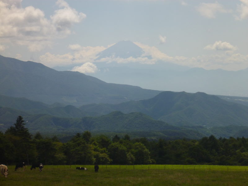 夏休みサイクリングの旅・サマリー（美ヶ原・八ヶ岳編）_e0138081_9575571.jpg