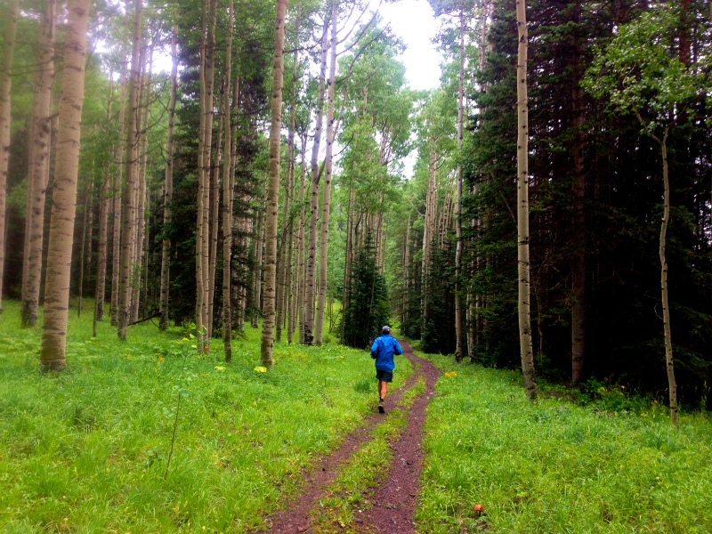 Colorado Summer USA Trip -Telluride Mountain Run- 2013/08/09-10_b0220886_0192983.jpg