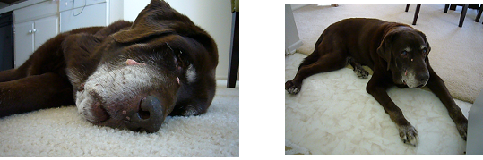 d0282395_23261113.png