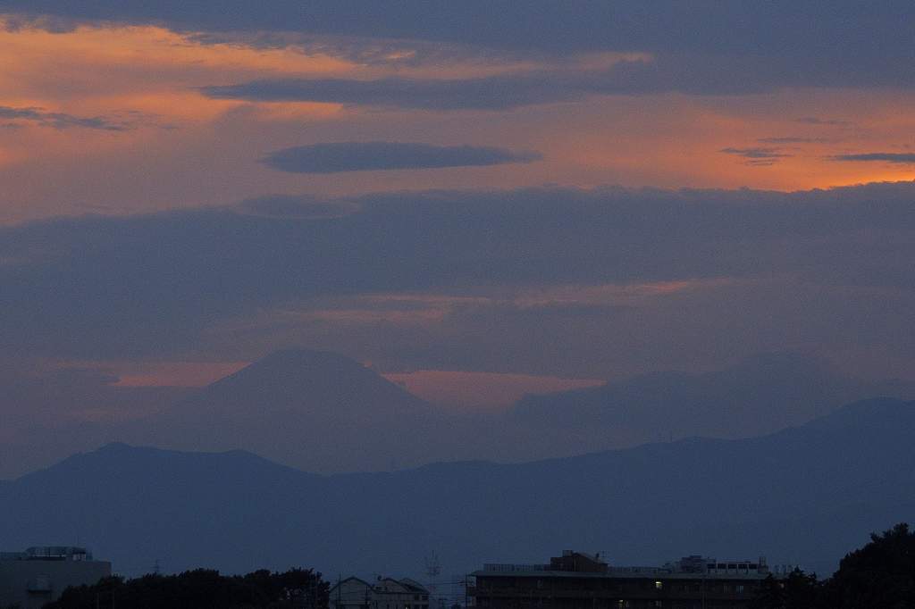 朝のカワセミ&スズメ/??/池を渡る蛇/朝焼け・夕焼け/月面_b0024798_20401930.jpg