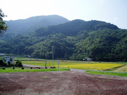 伊豆でシュノーケル！　in 沼津市井田　2013_f0247600_18112722.jpg