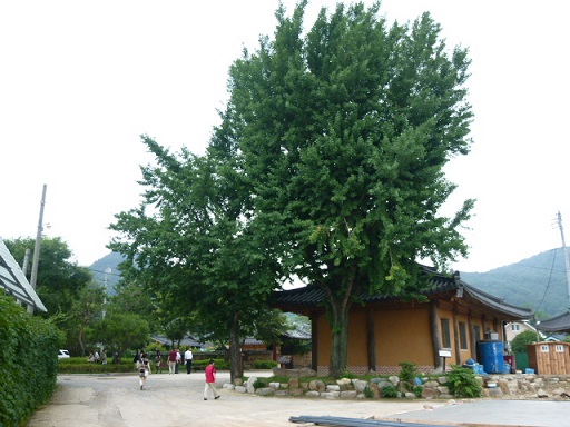 a0140305_2425123.jpg