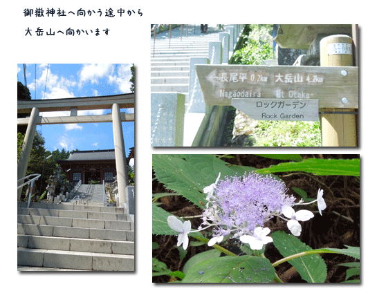 大岳山へ (8月28日)_c0051105_2216035.gif