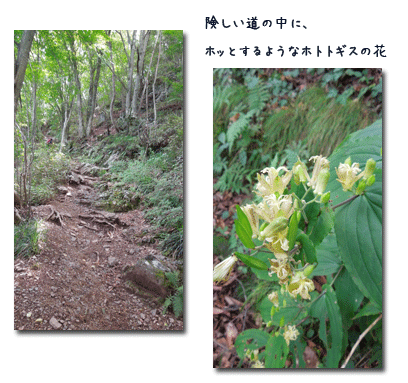 大岳山へ (8月28日)_c0051105_22314070.gif