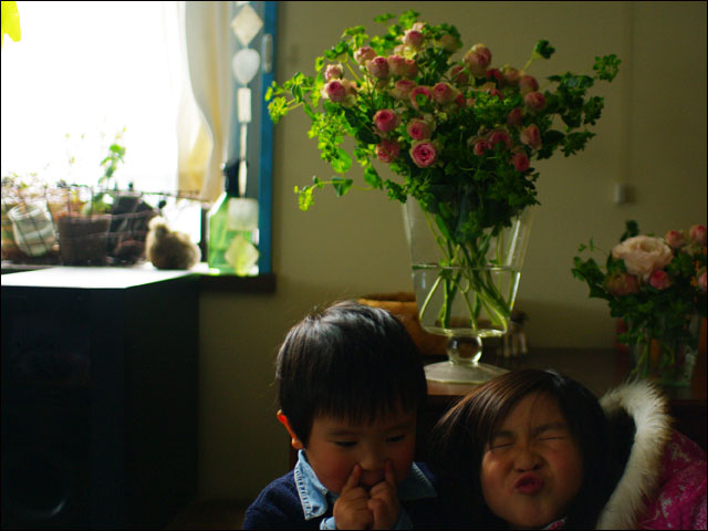f0051306_194613.jpg