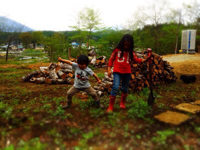 さーて やるぞ〜_f0051306_2202585.jpg