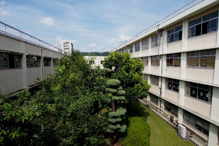 a0268412_22463890.jpg