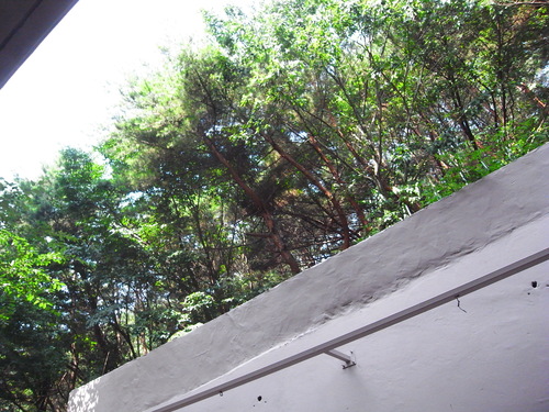 釜山に行ったりしております。その2_c0116714_18503888.jpg