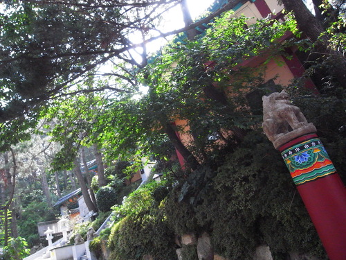 釜山に行ったりしております。その2_c0116714_2043854.jpg