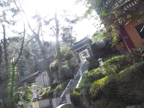 釜山に行ったりしております。その2_c0116714_2052833.jpg