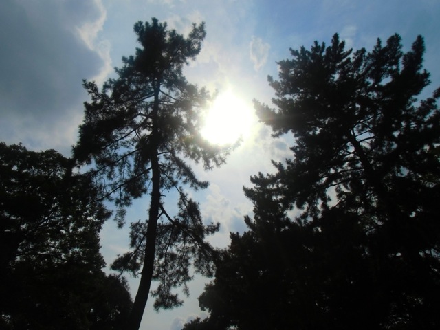 b0181015_15181054.jpg