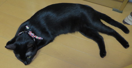 c0280322_1841862.jpg