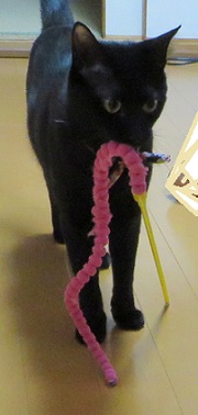c0280322_1845159.jpg