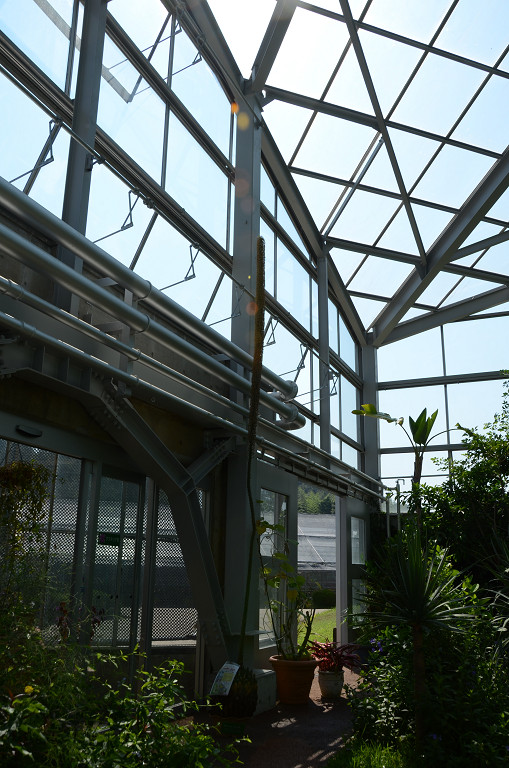 d0073324_96127.jpg