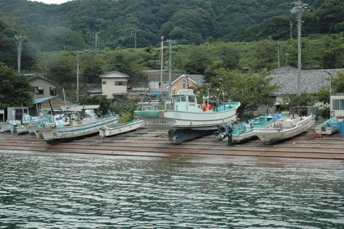 岩井のタコのこと ちばのこと With Fslabo