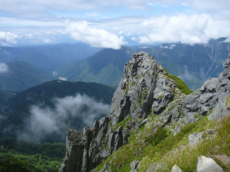 e0284726_1174932.jpg