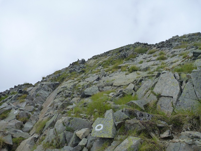 e0284726_1183624.jpg