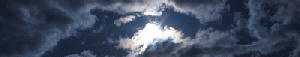 a0098027_15123393.gif