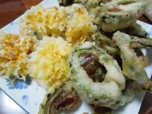 ゴーヤと菊の花の天ぷら 地上50mでも野菜はできました そして3mへ ゴーヤと菊の花の天ぷら 地上50mでも野菜はできました そして3mへ