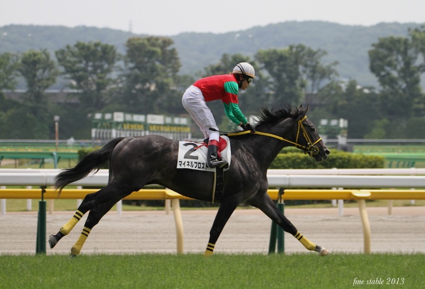 8.31 重賞レースへ３頭出走です。_c0240132_58543.jpg