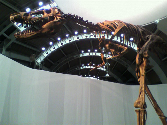 a0235137_88757.jpg